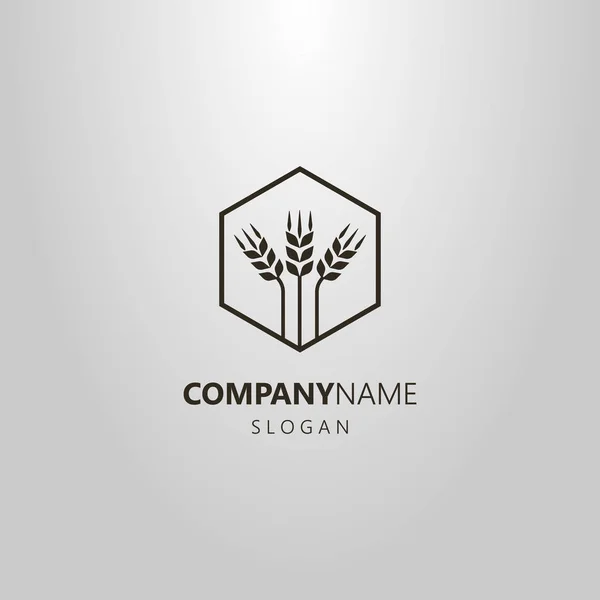 siyah ve beyaz basit vektör logo üç buğday kulaklarında bir altıgen çerçeve soyut