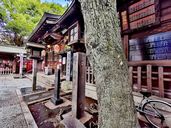 Tempelanlage Asakusa Tokio Nahaufnahme Gedenksteine Und Baum — Zdjęcie stockowe