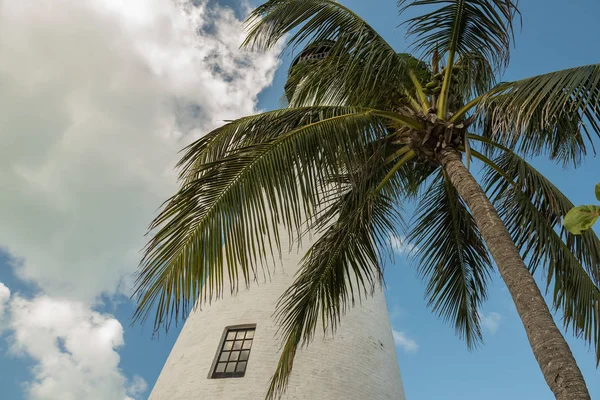 Deniz Feneri Kadar Görüntüleyebilir Gökyüzüne Karşı Palmiyeler Miami Abd — Stok fotoğraf