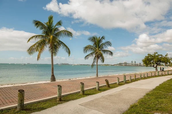 Miami çıkabilir. Yaya bölgesi ve palmiye ağaçları boyunca bay, gökdelenler diğer kıyısında. Güneşli bir gün. Amerika Birleşik Devletleri. Florida.