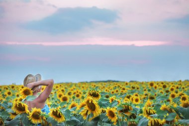 Ayçiçeği tarlası olarak Hasır Şapkalı bir kız. Çok yumuşak yumuşak odak, gün batımında yumuşak ışık. Nazik bulutlar.
