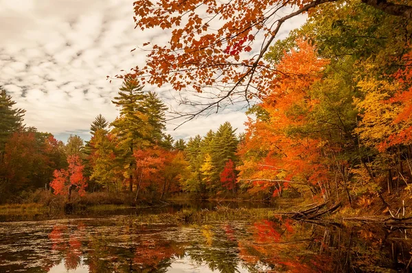 Hermoso Lago Bosque Otoño Hermosos Colores Otoñales Superficie Tranquila Del —  Fotos de Stock