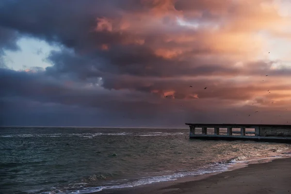 Dramatik Denizde Akşam Çöl Beton Skelesi Güzel Pembe Bulutlar Kuşlar — Stok fotoğraf