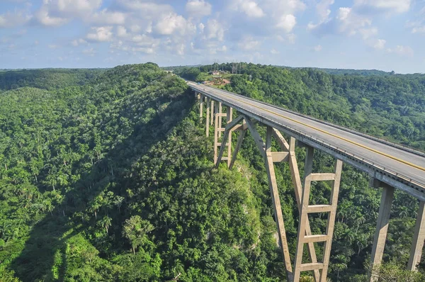 Puente Gigante Sobre Bosque Tropical Verde Cuba —  Fotos de Stock