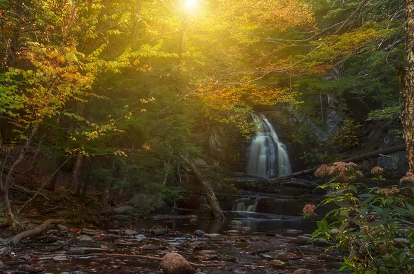 Vattenfall Skogen Vackra Vilda Naturen Usa Maine Selektivt Fokus — Stockfoto