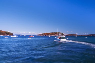 Atlantik Okyanusu ve küçük adalar, birçok botları suya Körfezi. Atlantik Okyanusu kıyısında. Amerika Birleşik Devletleri. Maine Bar Harbor,