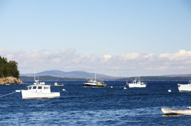 Atlantik Okyanusu ve küçük adalar, birçok botları suya Körfezi. Atlantik Okyanusu kıyısında. Amerika Birleşik Devletleri. Maine Bar Harbor,
