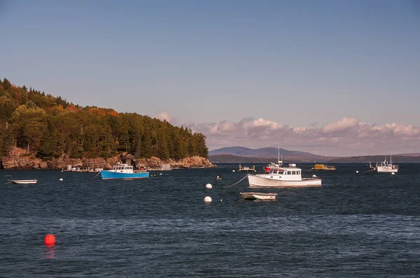 Atlantik Okyanusu ve küçük adalar, birçok botları suya Körfezi. Atlantik Okyanusu kıyısında. Amerika Birleşik Devletleri. Maine