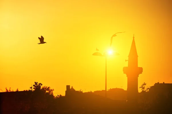 Silhouettes of a mosque and city with birds gulls in the sky at sunset. Dark outline against the background of the orange sky. The symbol of Istanbul.