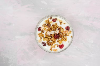 Granola fındık ve kuru meyve ile Doğal yoğurt. doğal sağlıklı gıda.