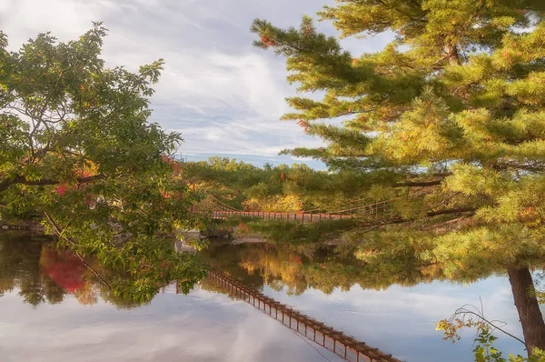 Brug Rivier Vele Mooie Herfst Bomen Sunny Herfstdag Usa Maine — Stockfoto