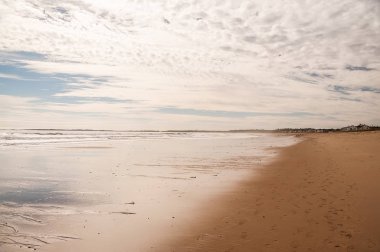 Atlantik Okyanusu kıyısında. bir sis sabah. Amerika Birleşik Devletleri. Maine.