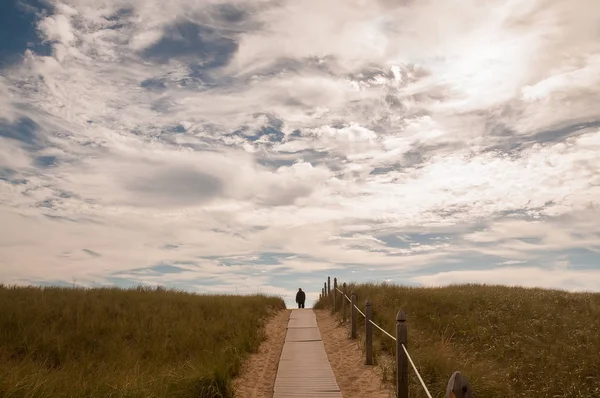 Passage to the sea among the dry grass and the silhouette of a man at the end of the path. The coast of the Atlantic Ocean. USA. Maine.