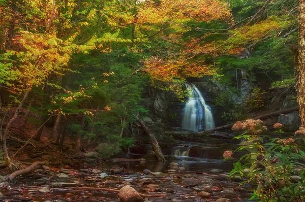 Şelale Sonbahar Orman Çalılıkları Içinde Amerika Birleşik Devletleri Maine — Stok fotoğraf