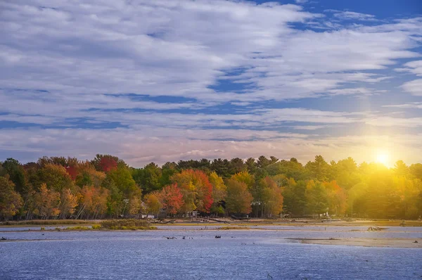 Alberi Con Fogliame Autunnale Rosso Brillante Sulla Riva Lago Stati — Foto Stock