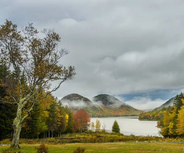 Lake Mountains Colorful Autumn Trees Acadia National Park Autumn Usa — Stock Photo, Image