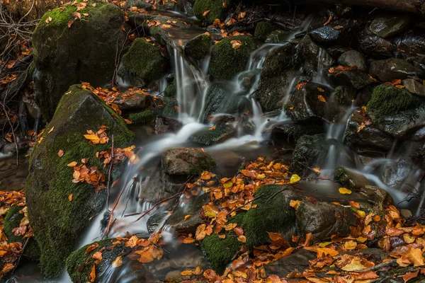 Sonbahar Ormanın Yosun Kaplı Taşlar Arasında Akan Bir Dere — Stok fotoğraf