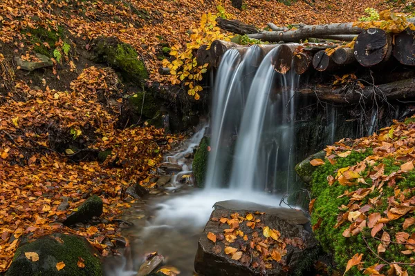 Sonbahar Ormanın Yosun Kaplı Taşlar Arasında Akan Bir Dere — Stok fotoğraf