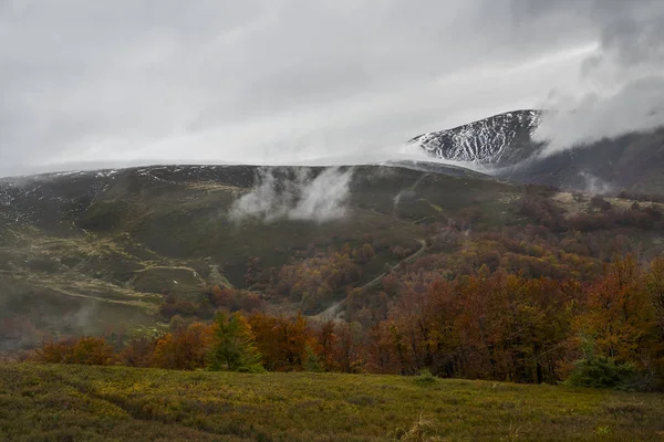 Podzim Horách Hory Jsou Pokryté Prvního Sněhu Jasně Žluté Červené — Stock fotografie