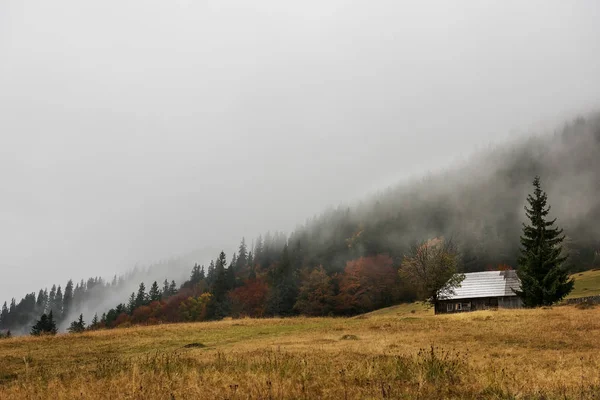 autumn in the mountains. An old house and autumn trees against the backdrop of the mountains. Farmer\'s mountain view.