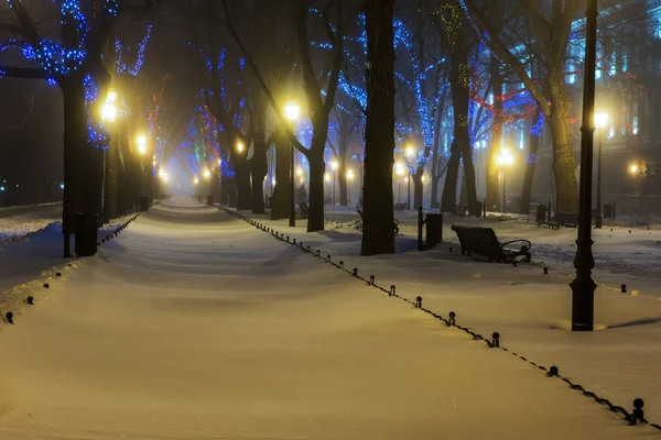 Ніч Фото Засніжена Ніч Бульвар Давніх Лавки Ігристих Ялинкові Гірлянди — стокове фото