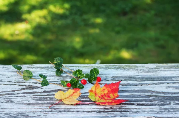 Autumn leaves of different shapes and bright different colors on an old wooden white background in cracks.