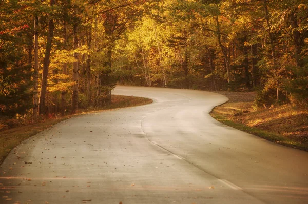 A winding desert road among the autumn forest.