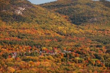 Yukarıdan Sonbahar rengarenk çok renkli ormanlar ve küçük evleri ağaçları arasında gizli görüntüleyin. Beyaz dağ Ulusal Ormanı. Amerika Birleşik Devletleri. Sonbahar milyon tonları.