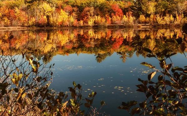 明るいカラフルな紅葉と丘の湖 晴れた日 アカディア国立公園 メイン州 — ストック写真