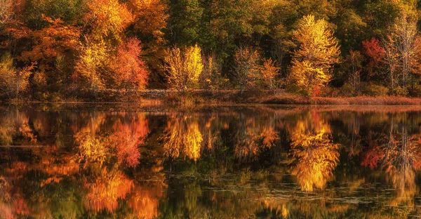 Parlak Renkli Sonbahar Ağaçları Ile Tepeler Arasında Bir Göl Güneşli — Stok fotoğraf