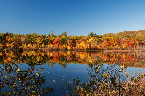 湖と青い水 そして水の色鮮やかな紅葉の反射 — ストック写真