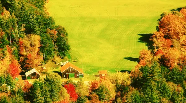 Blick Von Oben Auf Herbstliche Wälder Und Einen Bauernhof Wald — Stockfoto