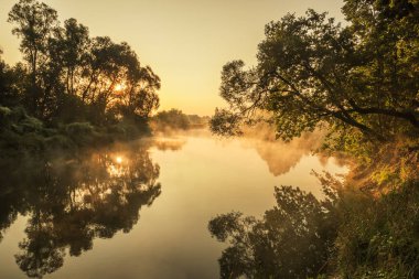Puslu nazik sabah erken Nehri üzerinde. yumuşak ışık ve bir ağaç dalları aracılığıyla ışık ışınları ile su üstünde.