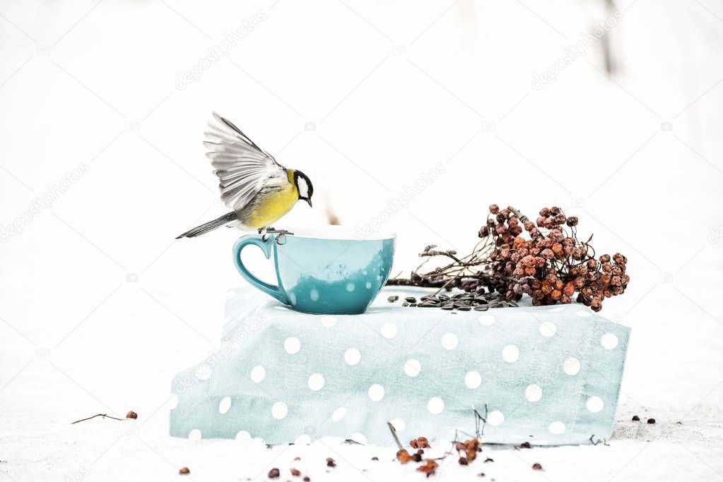 A bird of the tit with wings in flight on a blue cup has grains in the winter park. Vintage