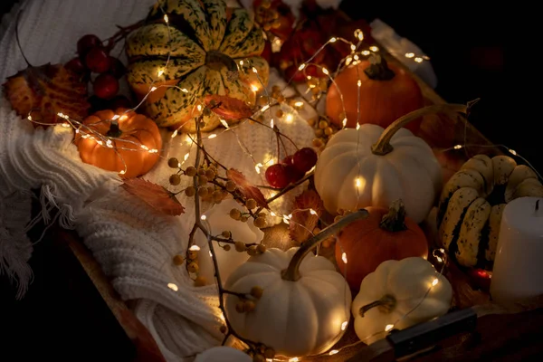 Various Small Pumpkins Leaves Berries Glowing Lights Dark Photo Halloween — Stock Photo, Image