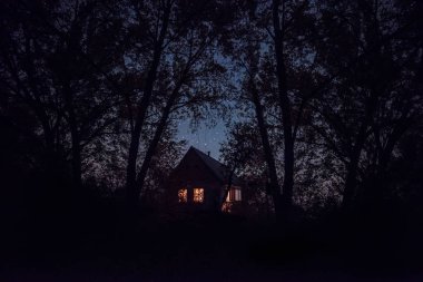 Orman arasında yıldızlı gökyüzü altında parlak penceresi olan küçük rahat ev. gece fotoğraf.