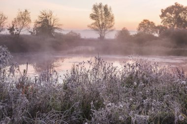 Sisli sonbahar sabahı Nehri üzerinde. Hoarfrost ile kaplı çayır çimen. İlk sonbahar frosts.