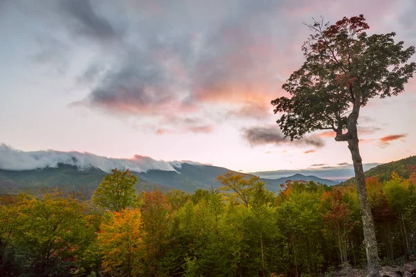 Bewaldete Berge Und Rosa Wolken Auf Den Gipfeln Bei Sonnenuntergang — Stockfoto
