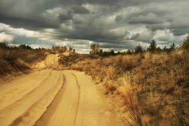 Sonbahar manzara. Ağaç altın yapraklar ve güzel bir gökyüzü ile bir grup.
