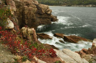 Atlantik Okyanusu'nun kayalık kıyılarının görünümü. Amerika Birleşik Devletleri. Adam Acadia Milli Parkı.