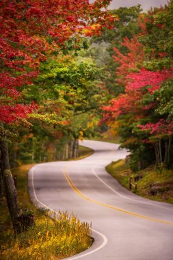 Dar bir yol renkli sonbahar orman ortasında. Amerika Birleşik Devletleri. Maine. Sonbahar yol.