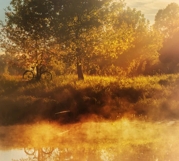 Kolo Pod Stromem Řeky Brzy Ráno Mlha Jemný Přírodě Aktivního — Stock fotografie