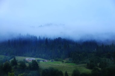  Gözlerden uzak konaklama dağın üzerinde iğne yapraklı orman arasında. Sis iğne yapraklı karanlık ormanda. Mistik vintage bir görünüm.