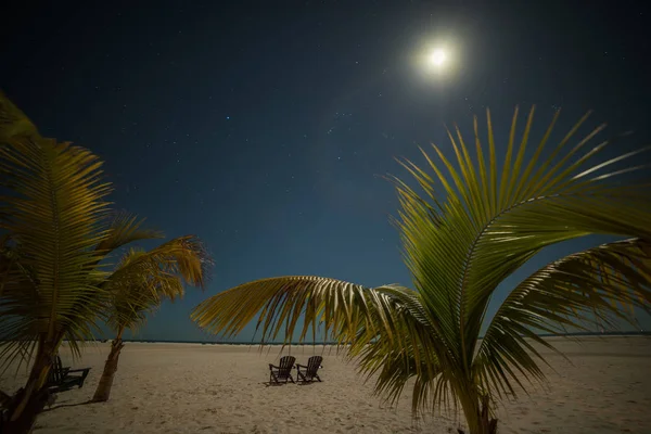 Tropical beach with palm trees at night. two shelongas under a starry sky and a radiant moon. USA. Florida. Sanibel.
