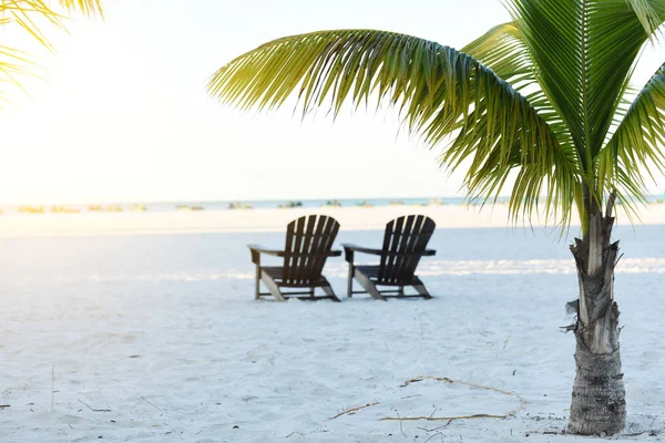 Douce Matinée Sur Plage Océan Atlantique Rameaux Palmiers Sur Des — Photo