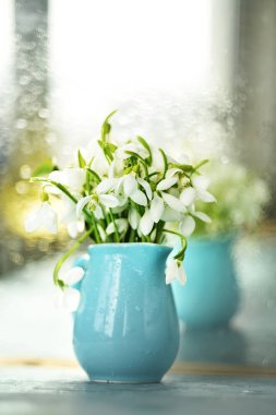 Mavi bir sürahi içinde ilk beyaz kardelen çiçek bahar. Sanat fotoğraf yumuşak seçici odak ile.