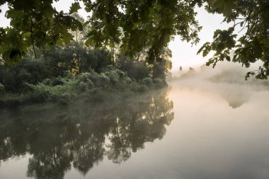 Puslu nazik sabah Nehri üzerinde. 