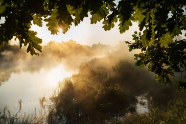 Puslu nazik sabah erken Nehri üzerinde. yumuşak ışık ve bir ağaç dalları aracılığıyla ışık ışınları ile su üstünde.