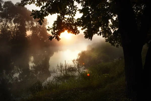 Misty Łagodne Rana Nad Rzeką — Zdjęcie stockowe