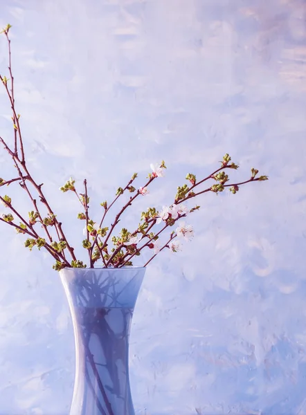 Branches with scattered buds and with the first flowers of fruit trees in a vase. Awakening of spring.